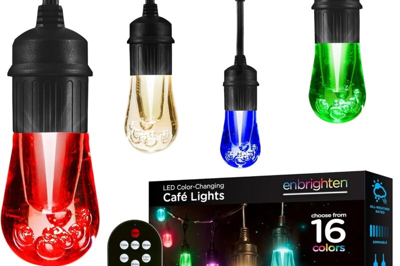Enbrighten 48ft Vintage Outdoor String Lights