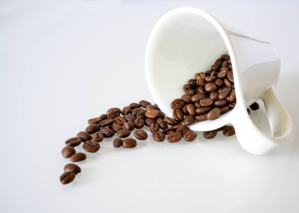 coffee flavor profiles