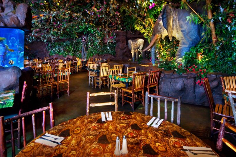 Discover Trendy Local Cafe Concepts for Unique Experiences